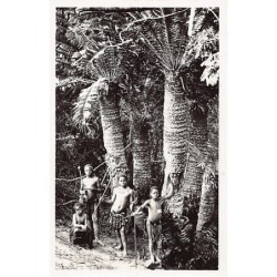 Rare collectable postcards of Somalia. Vintage Postcards of Somalia