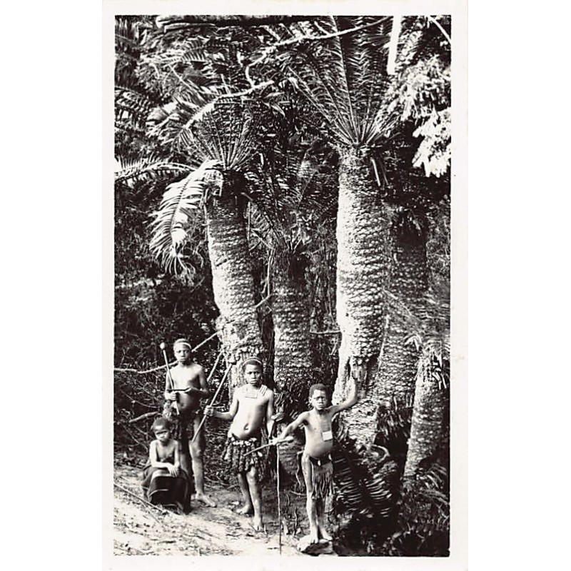 Rare collectable postcards of Somalia. Vintage Postcards of Somalia