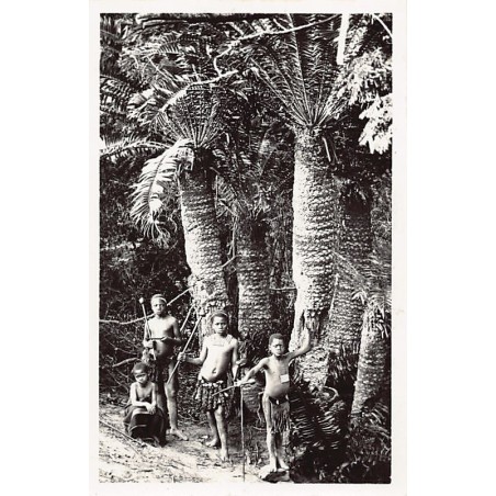 Rare collectable postcards of Somalia. Vintage Postcards of Somalia