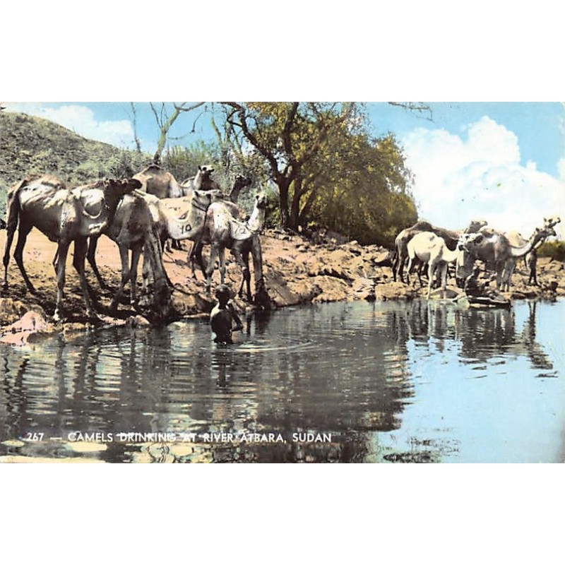 Rare collectable postcards of Sudan. Vintage Postcards of Sudan