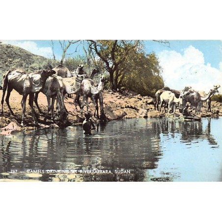 Rare collectable postcards of Sudan. Vintage Postcards of Sudan