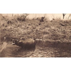 Rare collectable postcards of Zimbabwe. Vintage Postcards of Zimbabwe