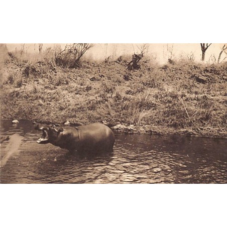 Rare collectable postcards of Zimbabwe. Vintage Postcards of Zimbabwe