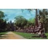 Rare collectable postcards of Cambodia. Vintage Postcards of Cambodia