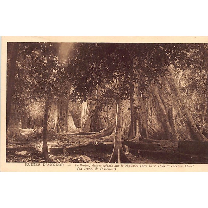 Rare collectable postcards of Cambodia. Vintage Postcards of Cambodia