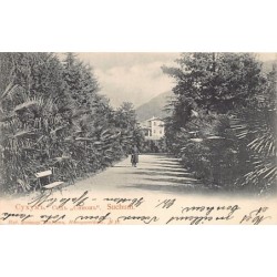 Rare collectable postcards of Georgia. Vintage Postcards of Georgia