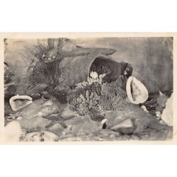 Rare collectable postcards of Indonesia. Vintage Postcards of Indonesia