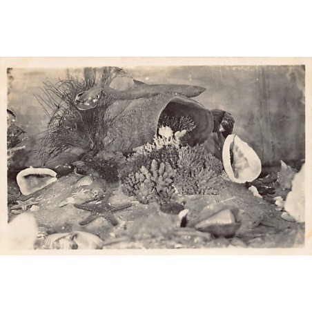 Rare collectable postcards of Indonesia. Vintage Postcards of Indonesia