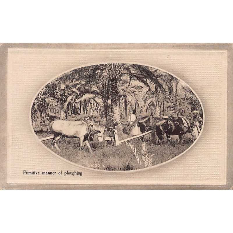 Rare collectable postcards of Iraq. Vintage Postcards of Iraq