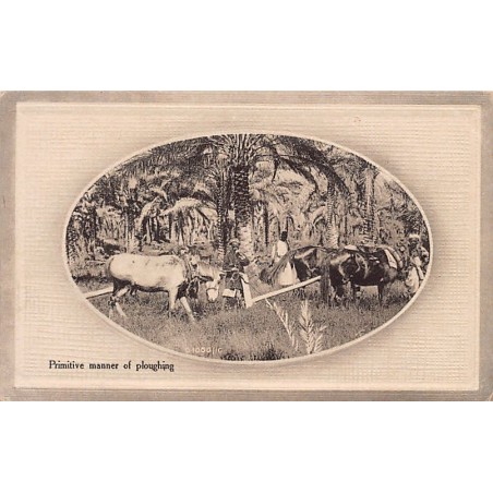 Rare collectable postcards of Iraq. Vintage Postcards of Iraq