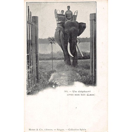 Rare collectable postcards of Laos. Vintage Postcards of Laos