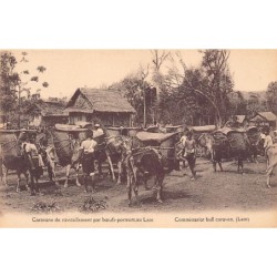 Rare collectable postcards of Laos. Vintage Postcards of Laos