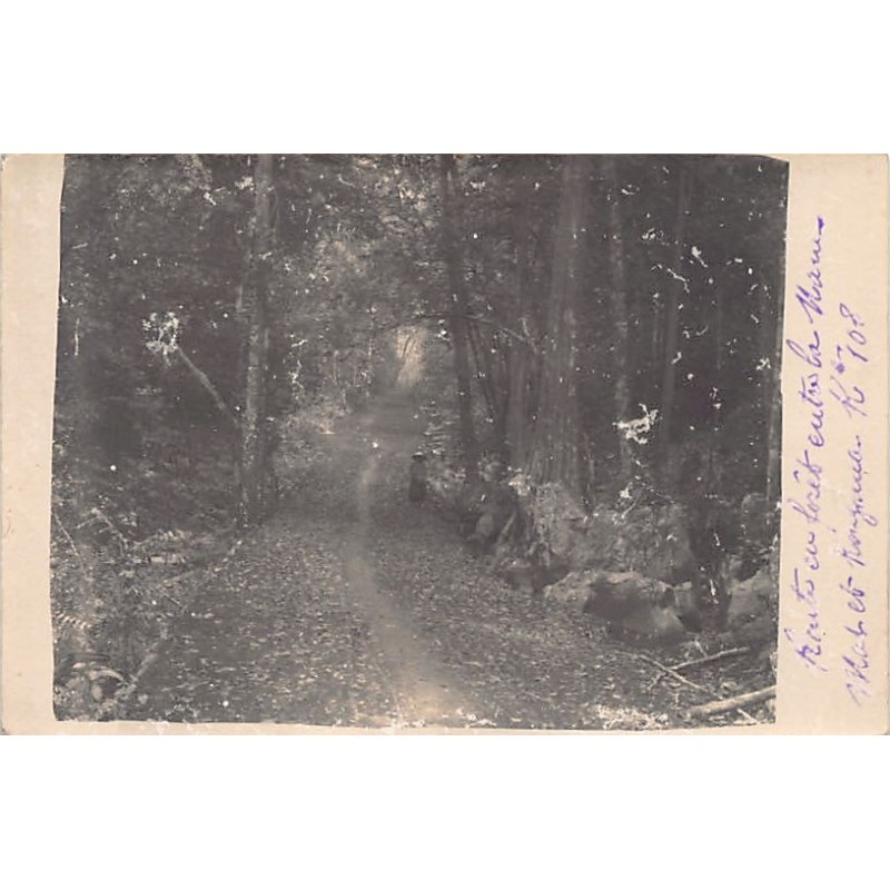 Rare collectable postcards of Laos. Vintage Postcards of Laos