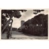 Rare collectable postcards of Lebanon. Vintage Postcards of Lebanon