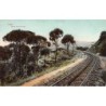 Rare collectable postcards of Lebanon. Vintage Postcards of Lebanon
