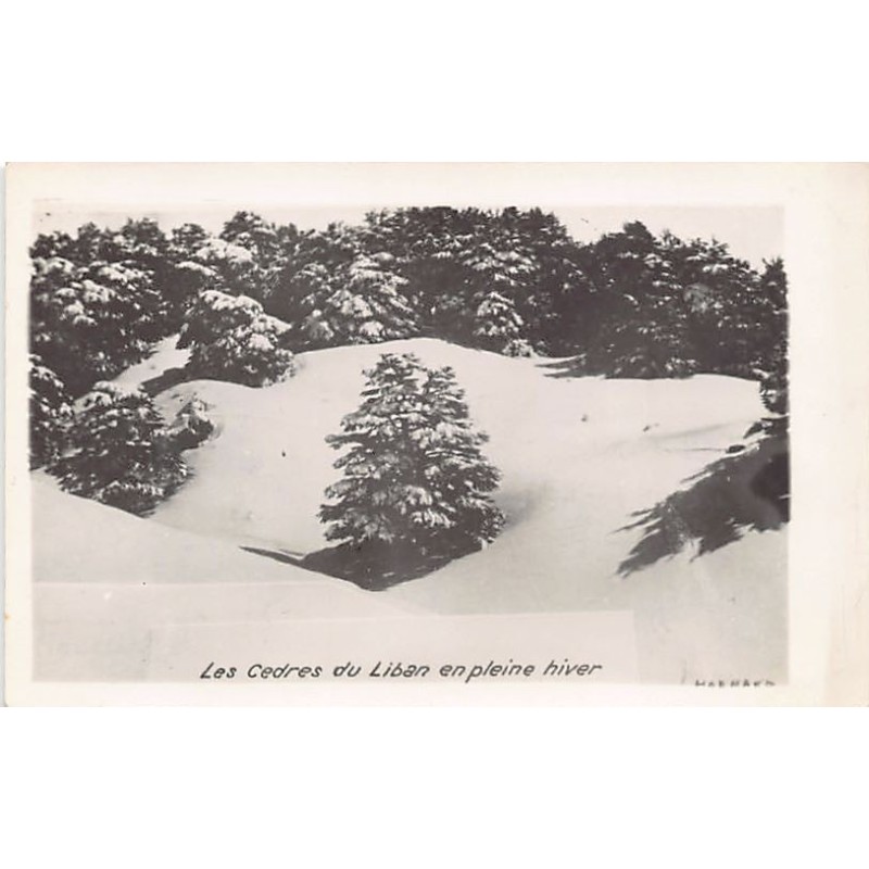 Rare collectable postcards of Lebanon. Vintage Postcards of Lebanon