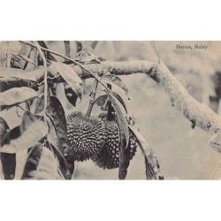 Rare collectable postcards of Malaysia. Vintage Postcards of Malaysia