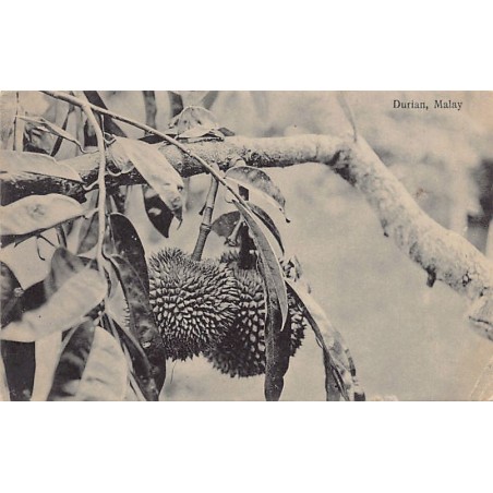 Rare collectable postcards of Malaysia. Vintage Postcards of Malaysia