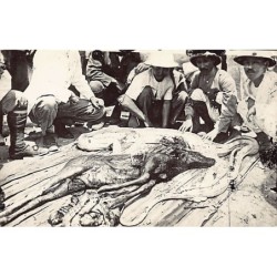 Rare collectable postcards of Malaysia. Vintage Postcards of Malaysia