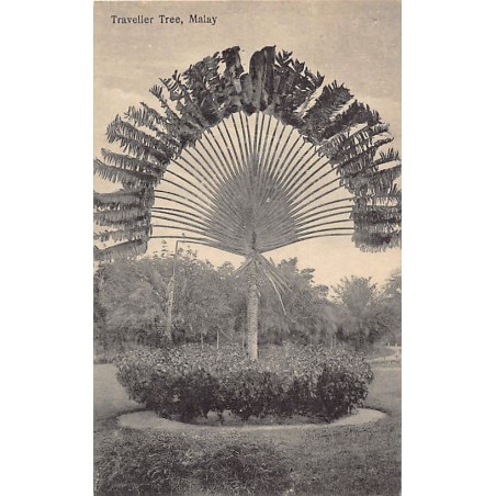 Rare collectable postcards of Malaysia. Vintage Postcards of Malaysia