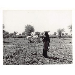 Rare collectable postcards of Pakistan. Vintage Postcards of Pakistan