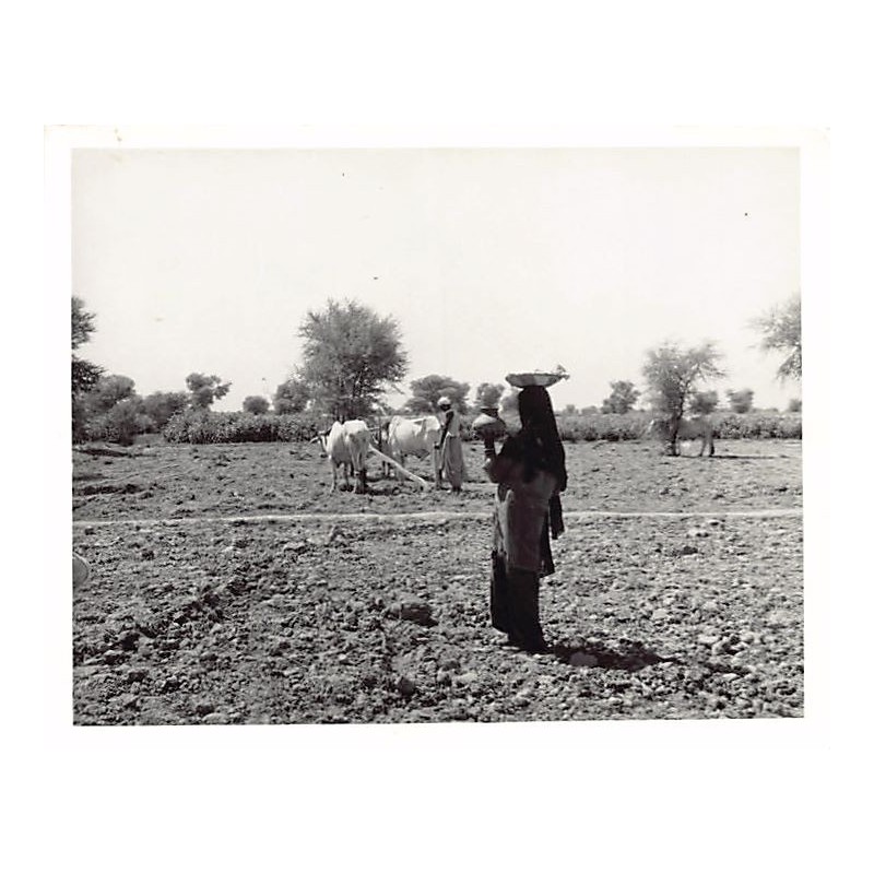 Rare collectable postcards of Pakistan. Vintage Postcards of Pakistan