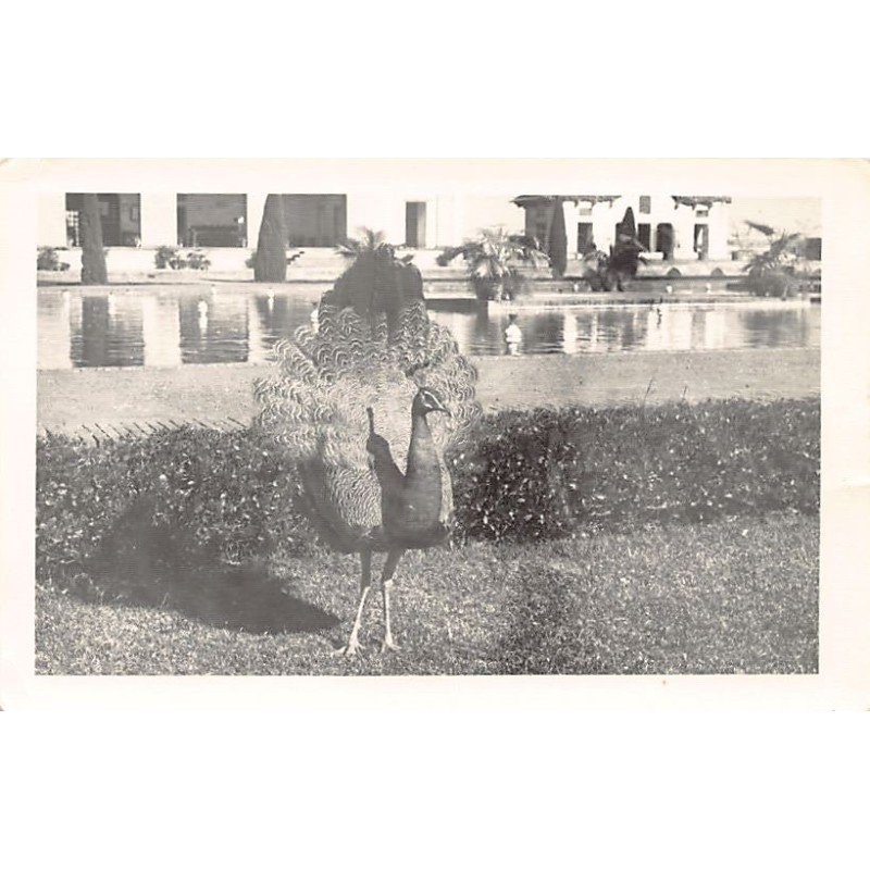 Rare collectable postcards of Pakistan. Vintage Postcards of Pakistan