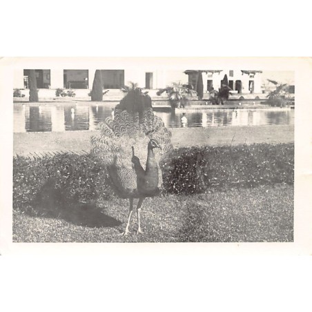 Rare collectable postcards of Pakistan. Vintage Postcards of Pakistan