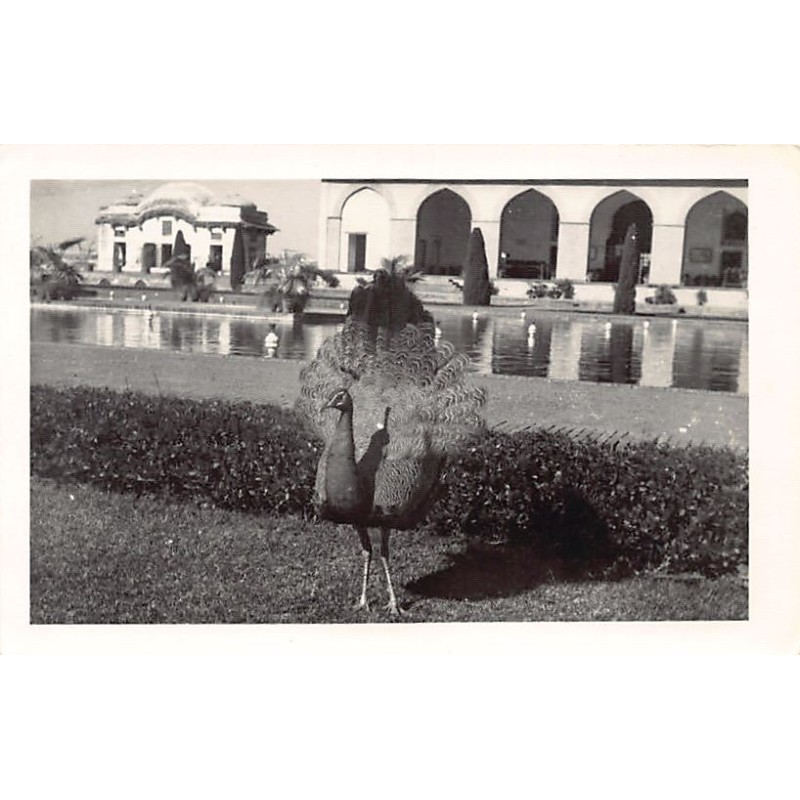 Rare collectable postcards of Pakistan. Vintage Postcards of Pakistan