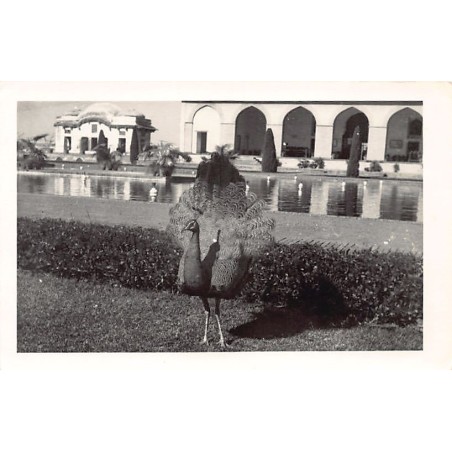 Rare collectable postcards of Pakistan. Vintage Postcards of Pakistan