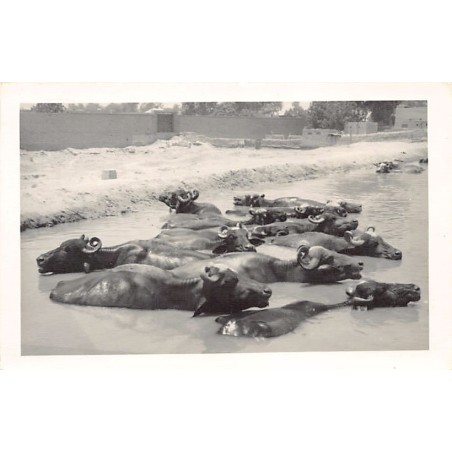 Rare collectable postcards of Pakistan. Vintage Postcards of Pakistan