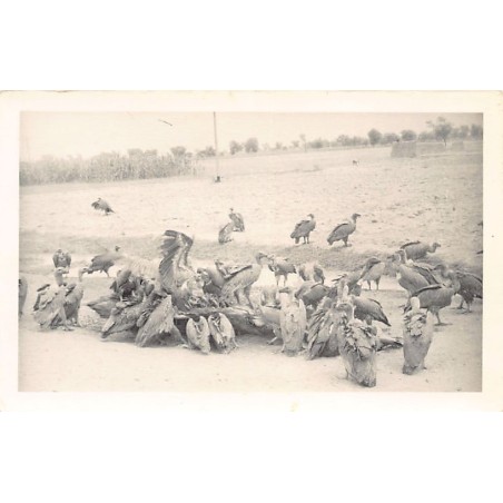 Rare collectable postcards of Pakistan. Vintage Postcards of Pakistan