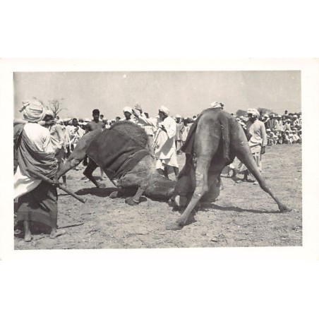 Rare collectable postcards of Pakistan. Vintage Postcards of Pakistan