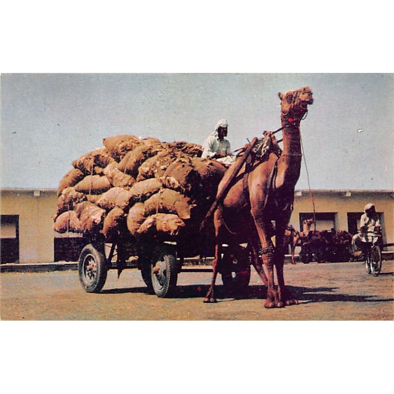 Rare collectable postcards of Pakistan. Vintage Postcards of Pakistan