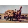 Rare collectable postcards of Pakistan. Vintage Postcards of Pakistan
