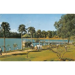 Rare collectable postcards of Singapore. Vintage Postcards of Singapore