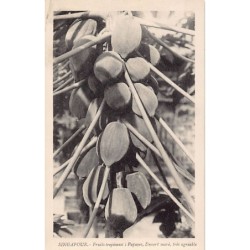 Rare collectable postcards of Singapore. Vintage Postcards of Singapore