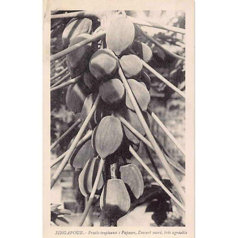 Rare collectable postcards of Singapore. Vintage Postcards of Singapore