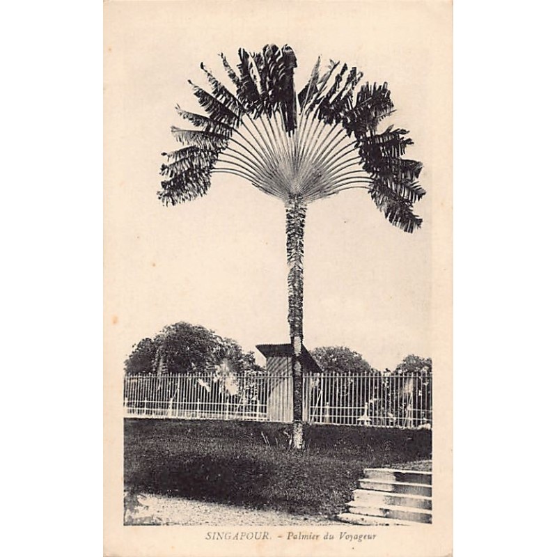 Rare collectable postcards of Singapore. Vintage Postcards of Singapore