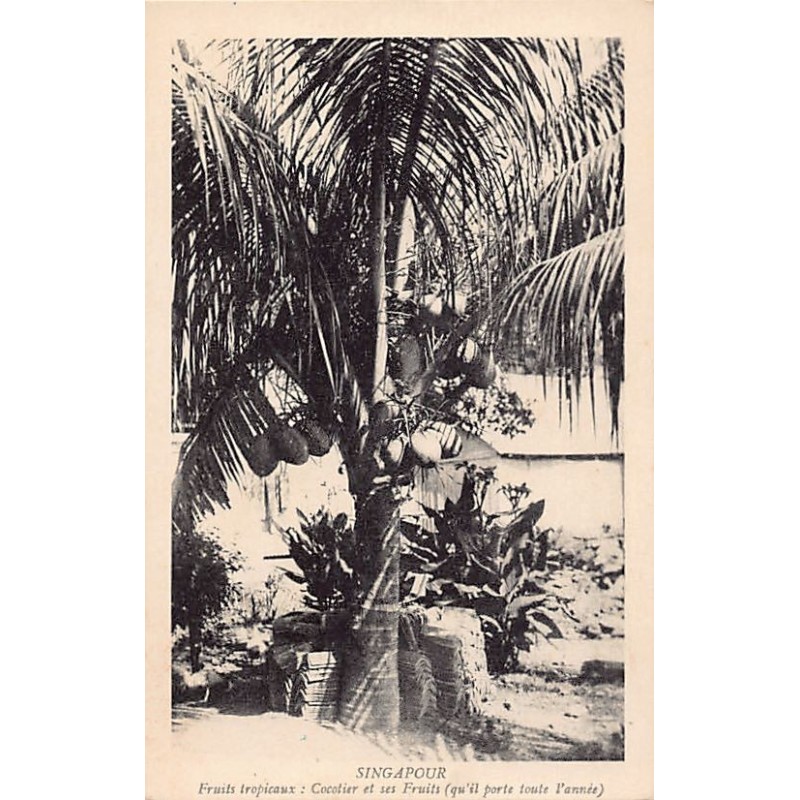 Rare collectable postcards of Singapore. Vintage Postcards of Singapore