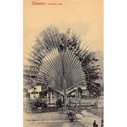 Rare collectable postcards of Singapore. Vintage Postcards of Singapore