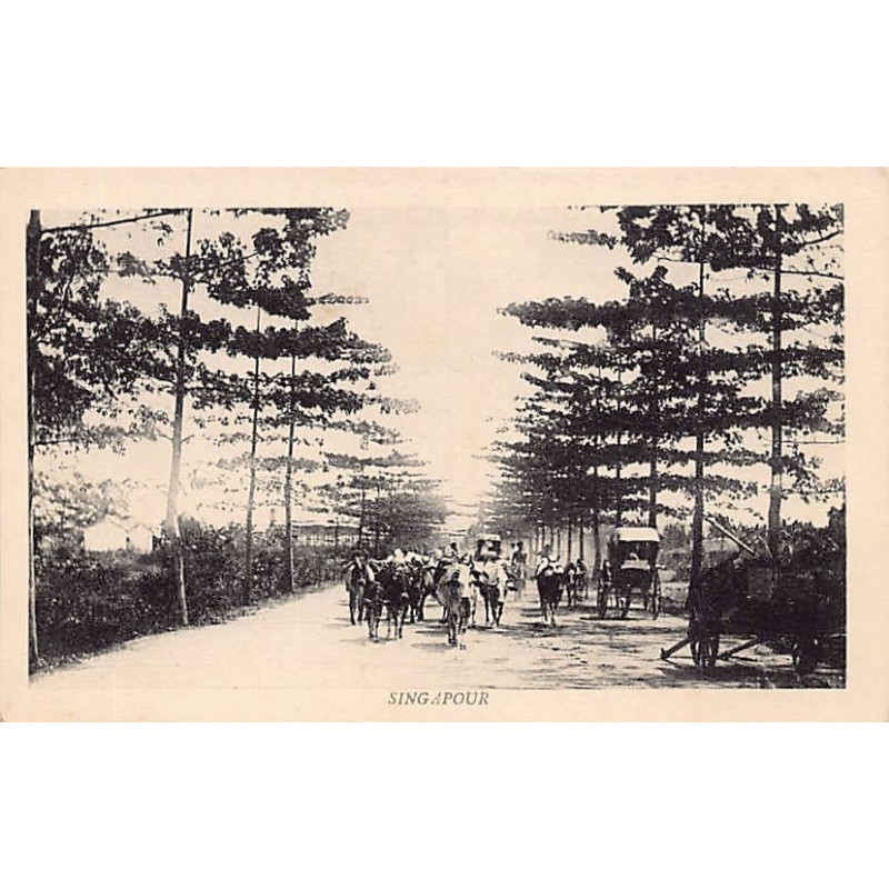 Rare collectable postcards of Singapore. Vintage Postcards of Singapore