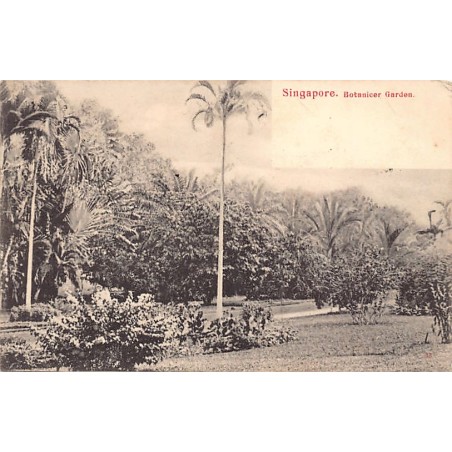 Rare collectable postcards of Singapore. Vintage Postcards of Singapore