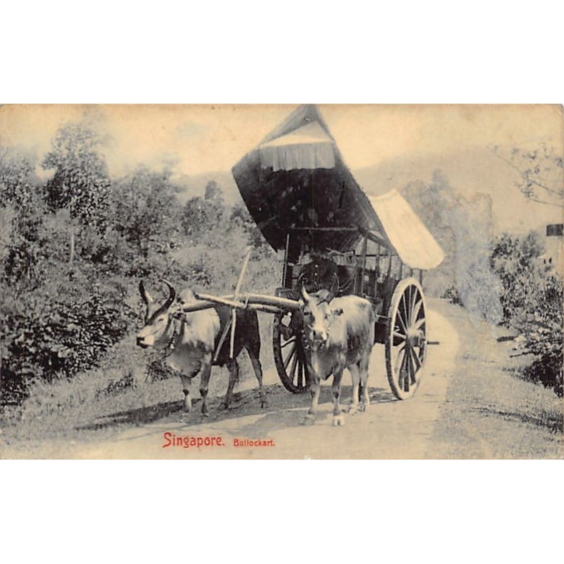 Rare collectable postcards of Singapore. Vintage Postcards of Singapore