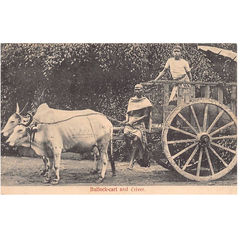 Rare collectable postcards of Singapore. Vintage Postcards of Singapore