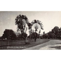 Rare collectable postcards of Singapore. Vintage Postcards of Singapore