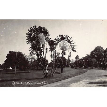 Rare collectable postcards of Singapore. Vintage Postcards of Singapore