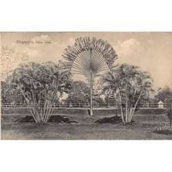 Rare collectable postcards of Singapore. Vintage Postcards of Singapore