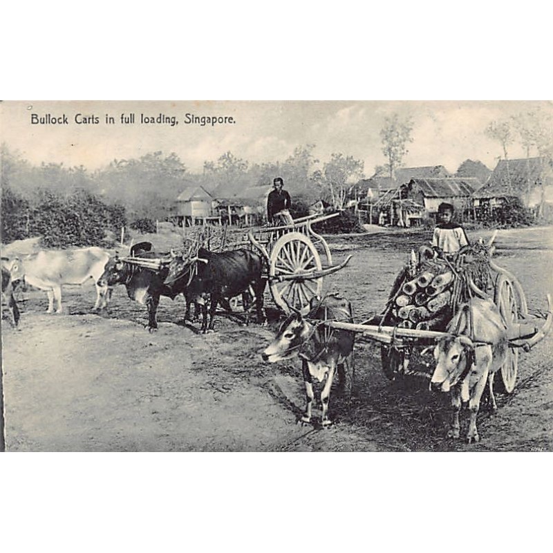 Rare collectable postcards of Singapore. Vintage Postcards of Singapore