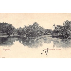 Rare collectable postcards of Singapore. Vintage Postcards of Singapore